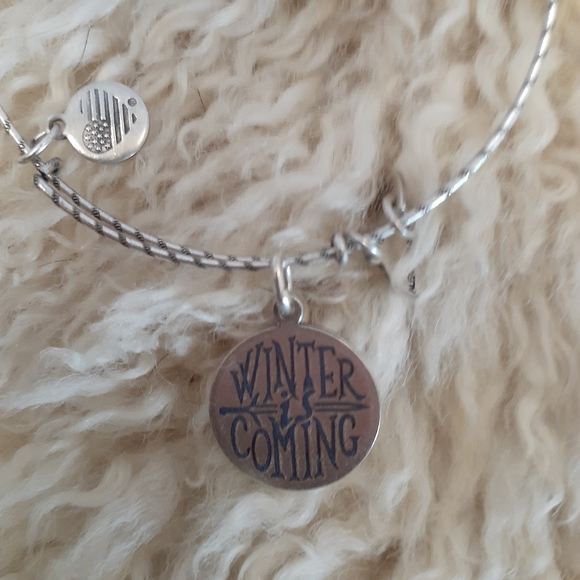 NWT Alex & Ani GoT House Stark Bracelet - Picture 8 of 8
